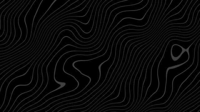 Abstract Black Motion Wavy Lines Video Background; Dark Luxury Flowing Topographic Waves Loop with Subtle Grey Accents for Premium Tech, Night Themes, and Sleek Modern UI