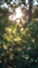 Obraz premium Nature background with open sunlight creates good energy within lush forest scene filled with soft bokeh light and green tree leaf element providing sense of peace and calm serenity