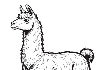 Fototapeta premium A black and white illustration of a llama standing alone