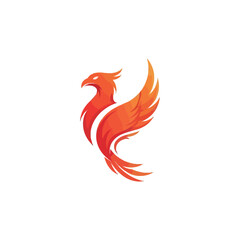 Fototapeta premium A vibrant orange phoenix bird rises with flowing wings and tail feathers on a white background.