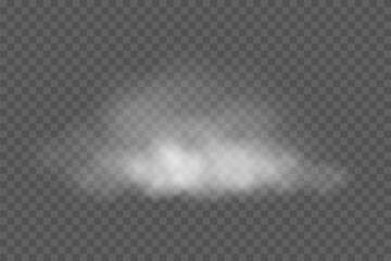 Obraz premium White cloud. Smoke shape on transparent background. Realistic fog texture with soft edges and natural diffusion. Atmospheric weather element. Realistic vector illustration.