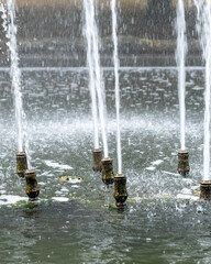Water jets spray from fountain in park during daylight hours for people's enjoyment and relaxation near the pond