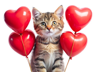 Kitten with heart shaped balloons on black background