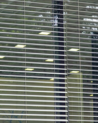 Blinds in a building reflect light and greenery from outside in an urban setting during daylight hours