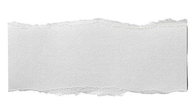 Blank Torn Paper Strip With Rough Edges. Isolated on Transparent Background