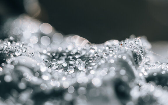 Goutte d&rsquo;eau suspendue en macro minimaliste