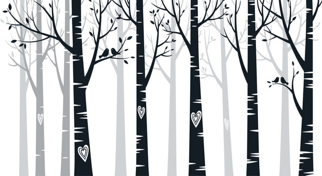 A serene and minimalist background illustration of a black and white birch tree forest with small birds on the branches.