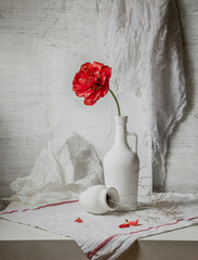 Still life with a red tulip in a white bottle on a light background