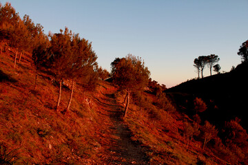 Scenic Views of Mijas, White Andalusian Village in the Mountains Overlooking the Mediterranean Sea, Southern Spain