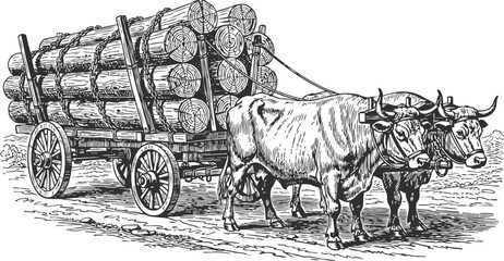 Oxen pulling wooden cart loaded with logs, traditional farming transportation scene