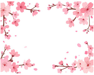 Obraz premium 桜の花のフレーム