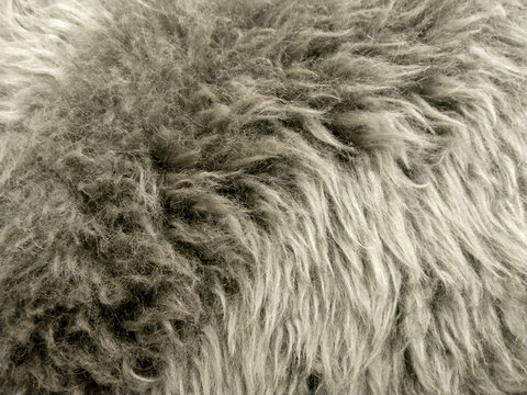 A soft and fluffy fake grey fur texture