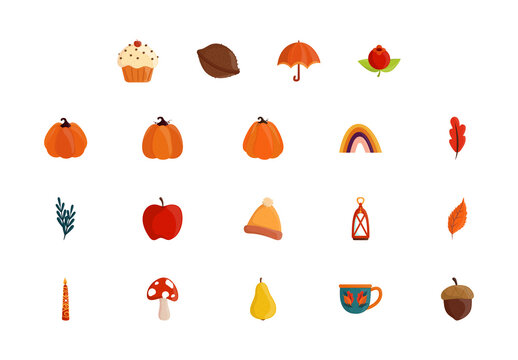 Colorful Autumn Pumpkin Leaves Harvest Fall Illustrations Set