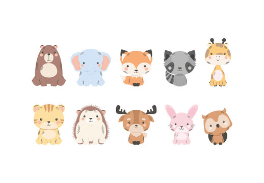 Colorful Cute Animals Illustrations Set