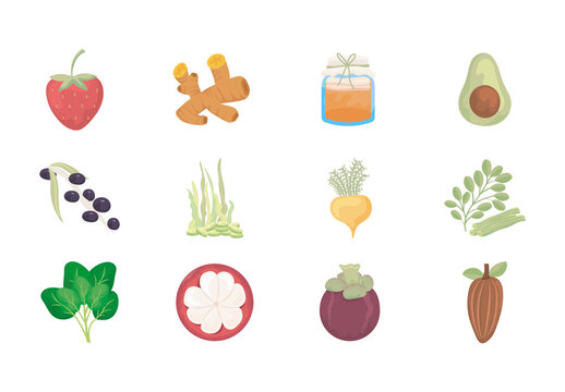 Colorful Superfoods Organic Healthy Fruits Vegetables Illustrations Set