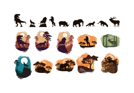 Colorful Wildlife Safari Jungle Animal Nature Illustrations Set