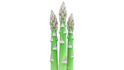 Close-up of Asparagus Spears