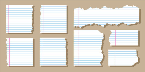 Torn Lined Paper Pieces Collection with Rough Edges