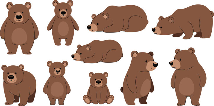 Cute brown bear character collection vector illustration set showing cartoon bears in different poses, standing, sitting, and sleeping for wildlife designs