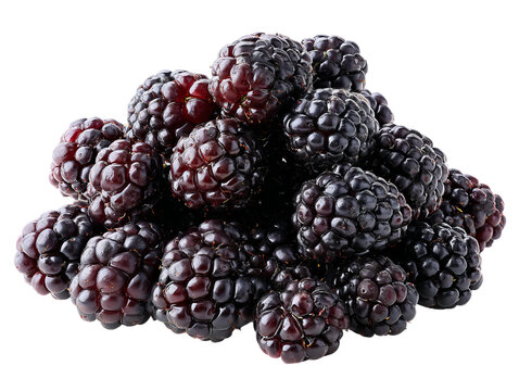 Fresh, juicy blackberries arranged in a tempting pile Isolated Transparent Background, PNG