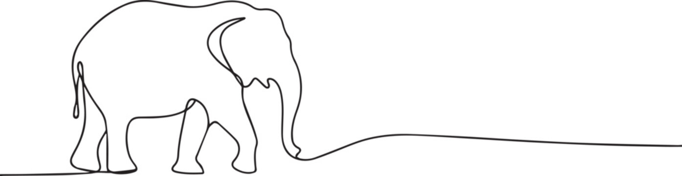 Elephant one continuous line art, Vector illustration, One line art, Line art graphic style
