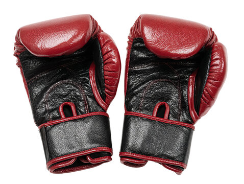 Pair of boxing gloves laid out, in a top view Isolated Transparent Background, PNG