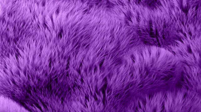 A 3D animated render of animal fur or hair. A close-up of violet fur gently blowing in the wind.