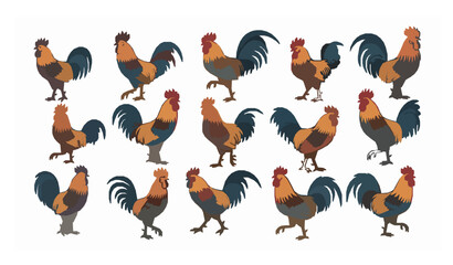 Rooster cock collection vector illustration farm poultry birds isolated on white © MdMahfizur