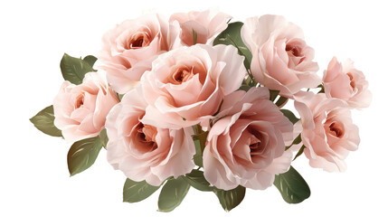 Delicate pink roses bouquet isolated on transparent background