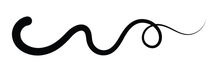 Swoosh line vector, underline swish, stroke swash swirl, curly hand drawn text calligraphic brush tail, black fireworks icon set isolated on white background. doodle decorative illustration in eps 10 