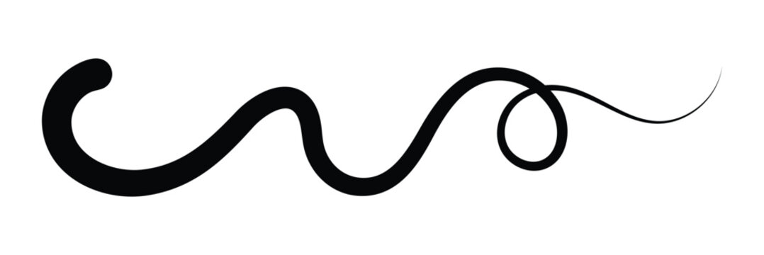 Swoosh line vector, underline swish, stroke swash swirl, curly hand drawn text calligraphic brush tail, black fireworks icon set isolated on white background. doodle decorative illustration in eps 10 