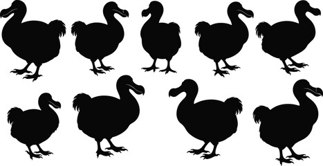 Black Dodo Bird Silhouettes Set with Extinct Flightless Bird Profiles Standing and Walking Poses Isolated on White Background for Wildlife Animal Vector Graphic Design © MdMoksad
