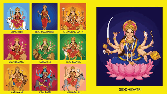 Navadurga goddesses vector illustration set with Siddhidatri on lotus, Hindu deities, religious festival, spiritual artwork