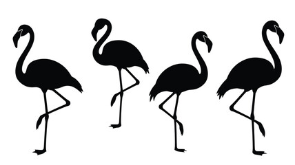 Obraz premium Four black flamingo silhouettes in a row minimalist design silhouette