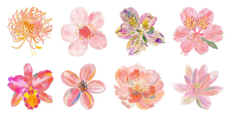 PNG Vibrant watercolor floral illustrations element set on transparent background
