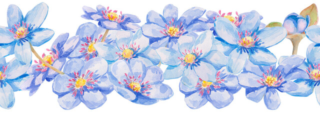 Obraz premium Blue flowers. Seamless horizontal pattern with blue Anemone hepatica (liverwort). Watercolor hand drawn illustration isolated on white for textile prints, wedding stationery, and spring decor
