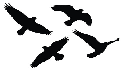 Obraz premium Soaring birds in flight a captivating black shape silhouette