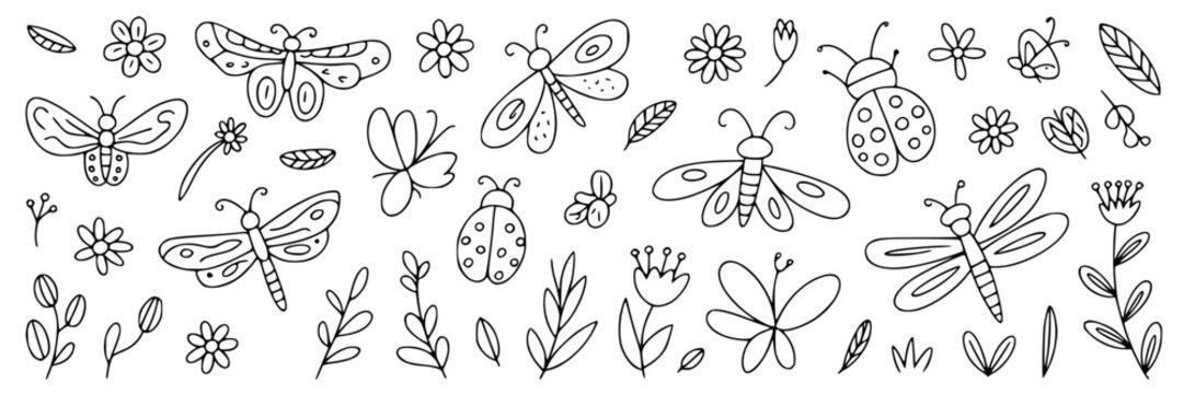 A series of hand‑drawn doodles on white paper showing a hedgehog, a dolphin, a flower with smiling face and a boat, all in playful, simple line style.