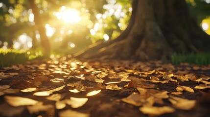 Sunlight filters through tree branches illuminating scattered dry leaves on the forest floor
