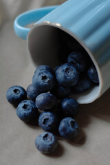 blueberries in blue bowl on beige background