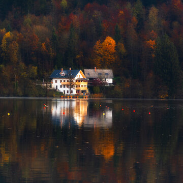 Aerial view of houses mirroring in the still, dark waters beneath a vibrant, autumnal forest, Spodnja Lua, kofja Loka, Slovenia.