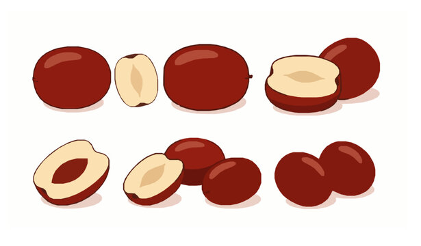 Jujube fruit collection vector illustration realistic flat red dates isolated on white