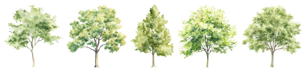 PNG Watercolor trees in row, transparent background