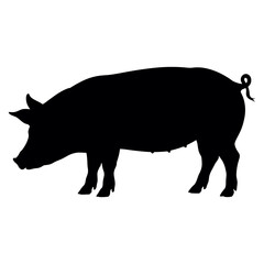 Fototapeta premium Pig icon Silhouette vector on white background