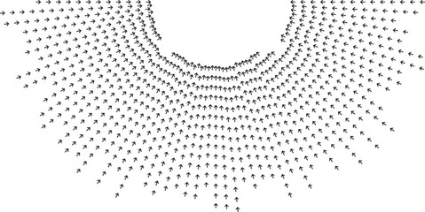Semi-circular long irregular rays form flowing pattern.