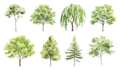 Obraz premium PNG Watercolor trees collection illustration, transparent background