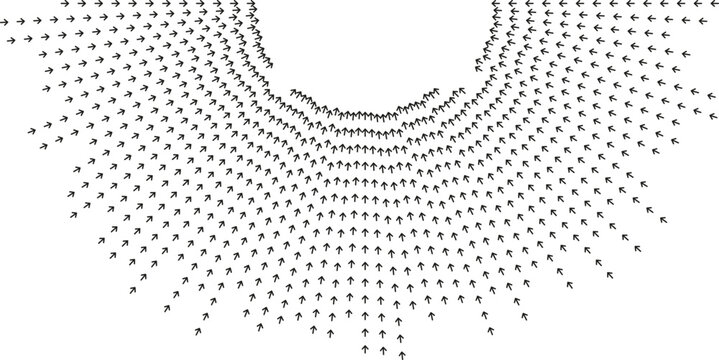 Semi-circular long irregular rays form flowing pattern.