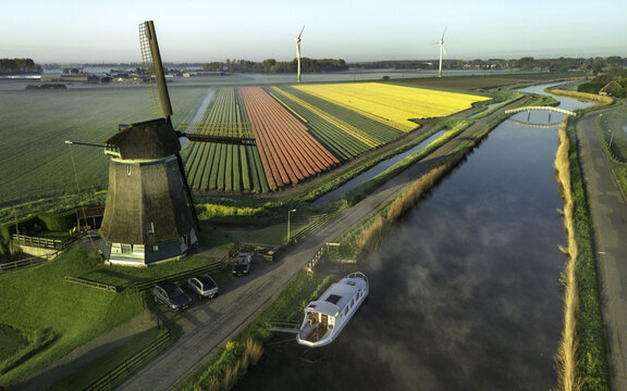 Aerial view of the iconic windmill stands guard over fields striped with vibrant tulips, while a gentle mist rises from the tranquil canal, Opmeer, North Holland, The Netherlands