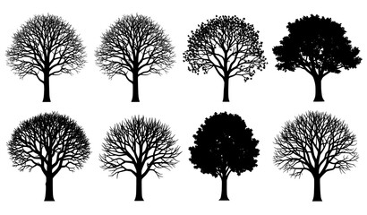 Obraz premium Seasonal tree silhouettes vector set showing winter spring summer and autumn trees isolated on white background