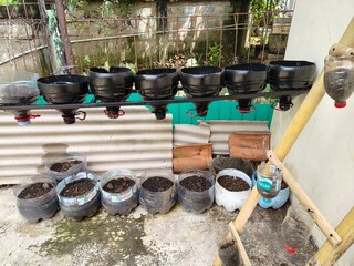 plant pots made from used bottles